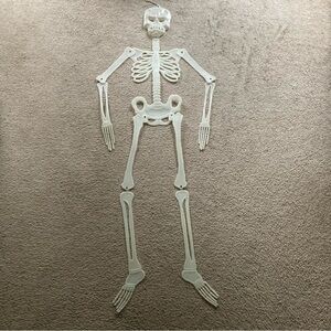 Vintage Fun World 60” Glow in the Dark Hanging Plastic Jointed Skeleton